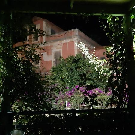 Avgi Garden House Chania With Private Entrance מראה חיצוני תמונה