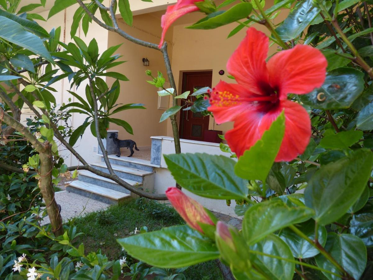 Avgi Garden House Chania With Private Entrance מראה חיצוני תמונה