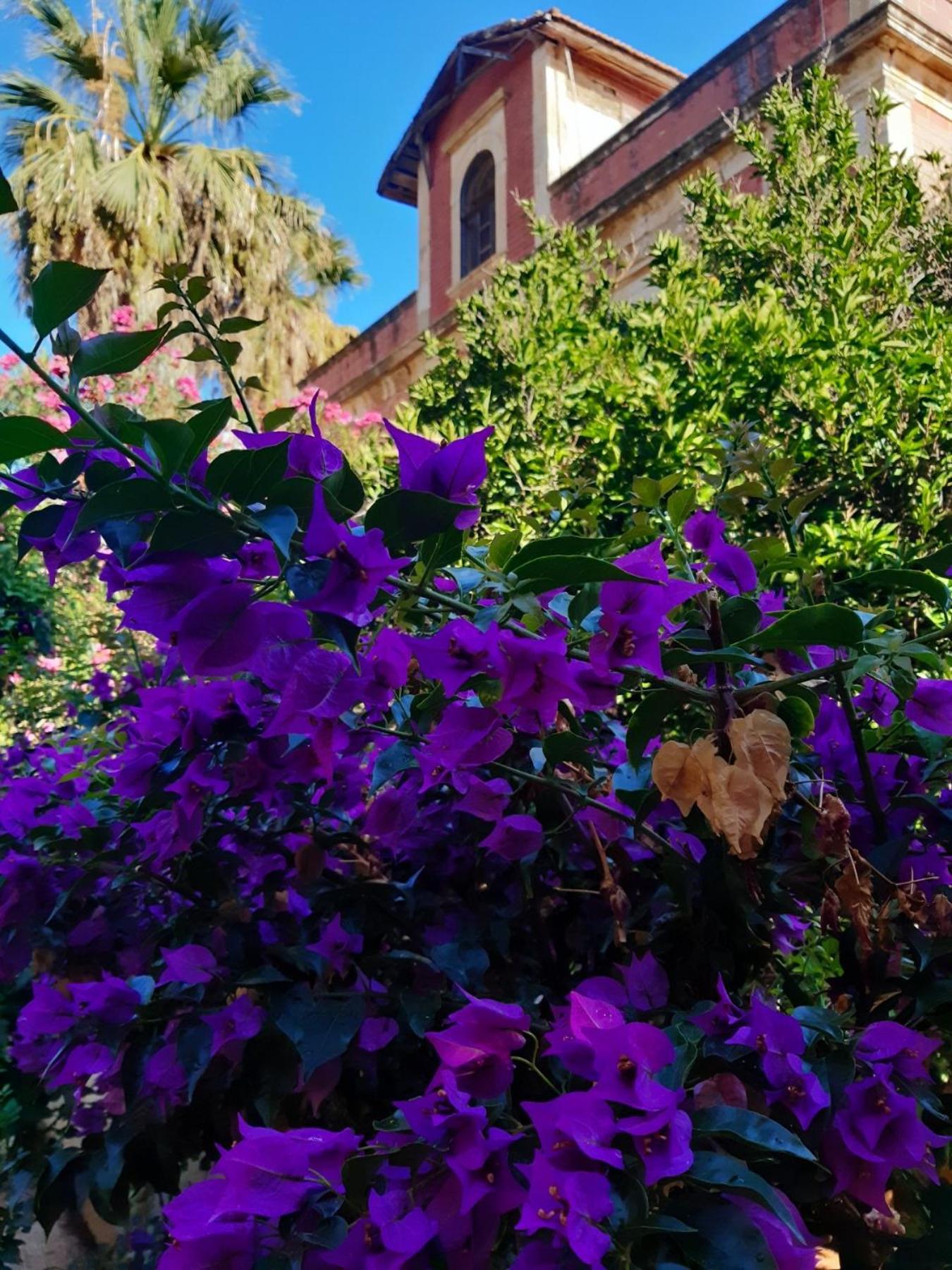 Avgi Garden House Chania With Private Entrance מראה חיצוני תמונה